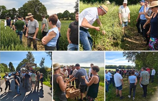 Feldtag im Landkreis Nordhausen: Sortenversuche der Agrar GmbH Mauderode - Herreden